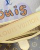 Louis Vuitton Delightful MM M40353