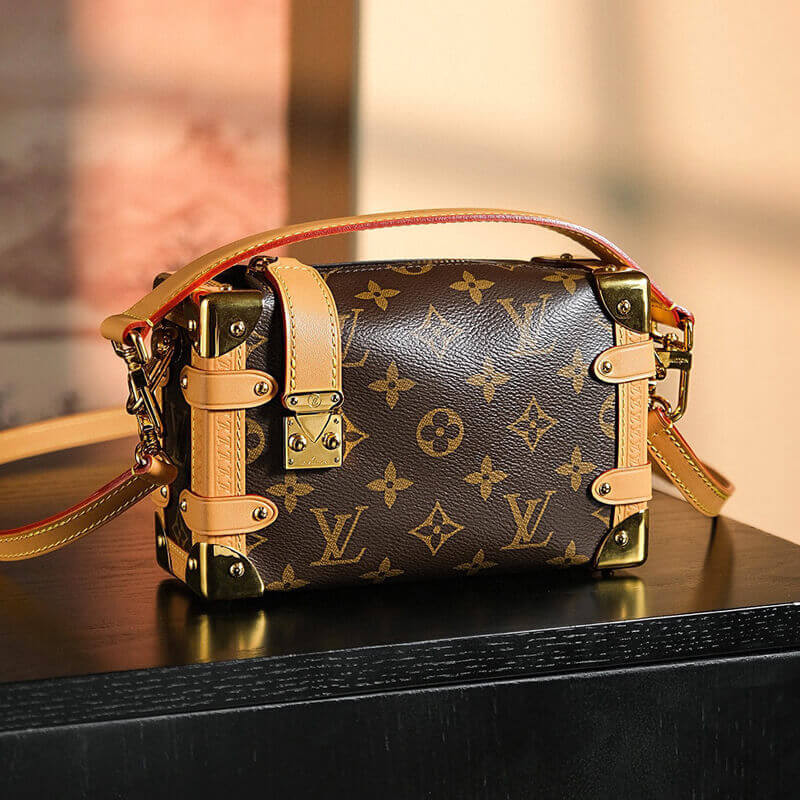 Louis Vuitton M46815 Side Trunk PM