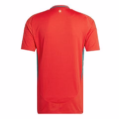 Wales Home Soccer Jersey Euro 2024/25