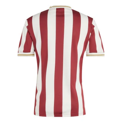 Player Version 1. FC Nuremberg Soccer Jersey 2025/26-125th Anniversary