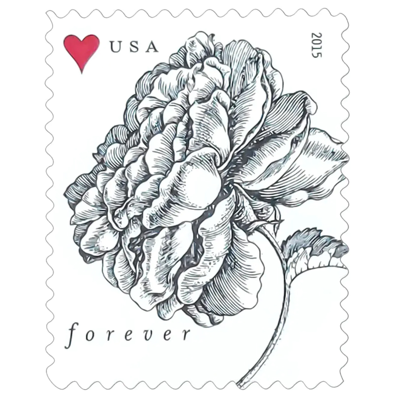 2015 Vintage Rose Pane Wedding Forever Postage Stamps