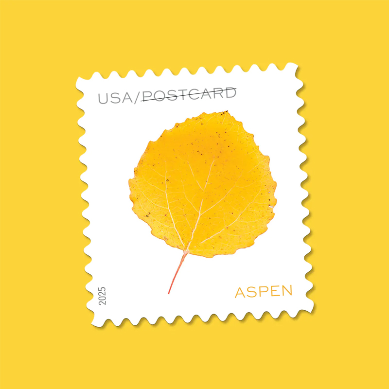 2025 Vibrant Leaves Postcard Stamps, Sheetof 20 Postcard Multiple Stamp Designs and Formats