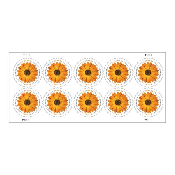 Global African Daisy Stamps(International $1.45)
