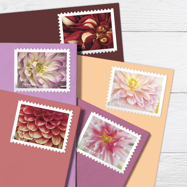 Dahlias Stamps