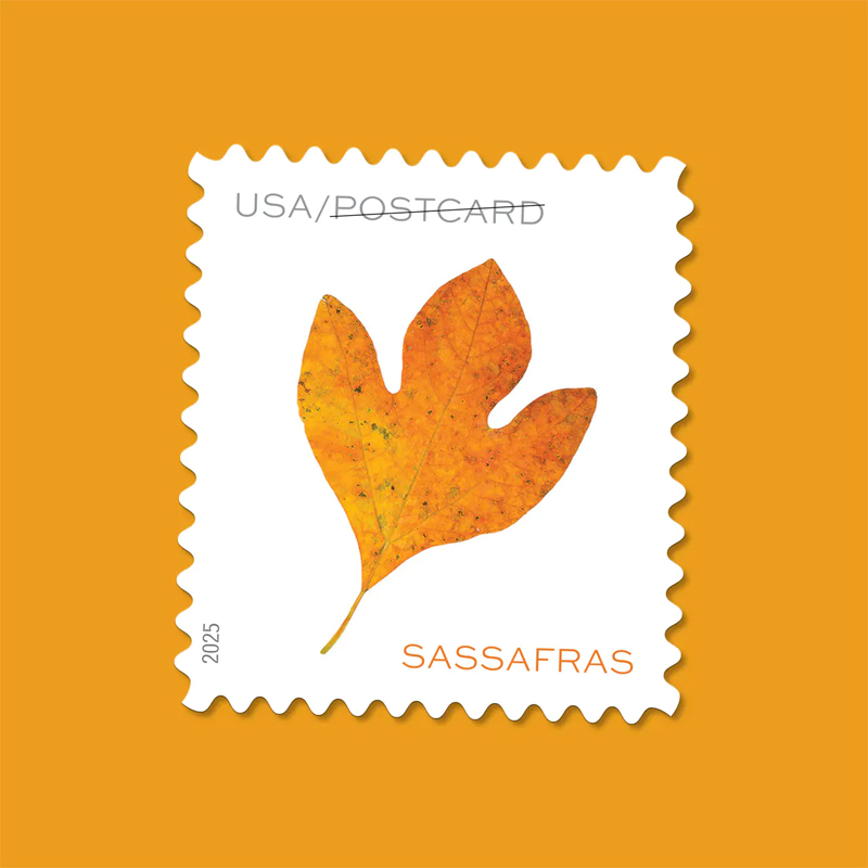 2025 Vibrant Leaves Postcard Stamps, Sheetof 20 Postcard Multiple Stamp Designs and Formats
