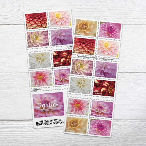 Dahlias Stamps