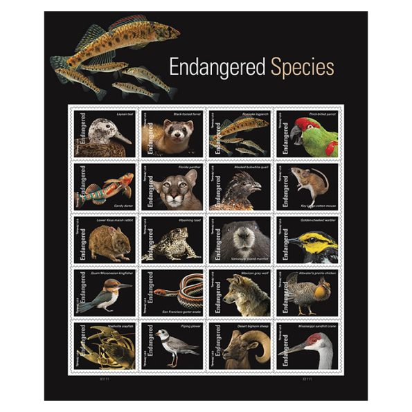 Endangered Species Forever Stamp