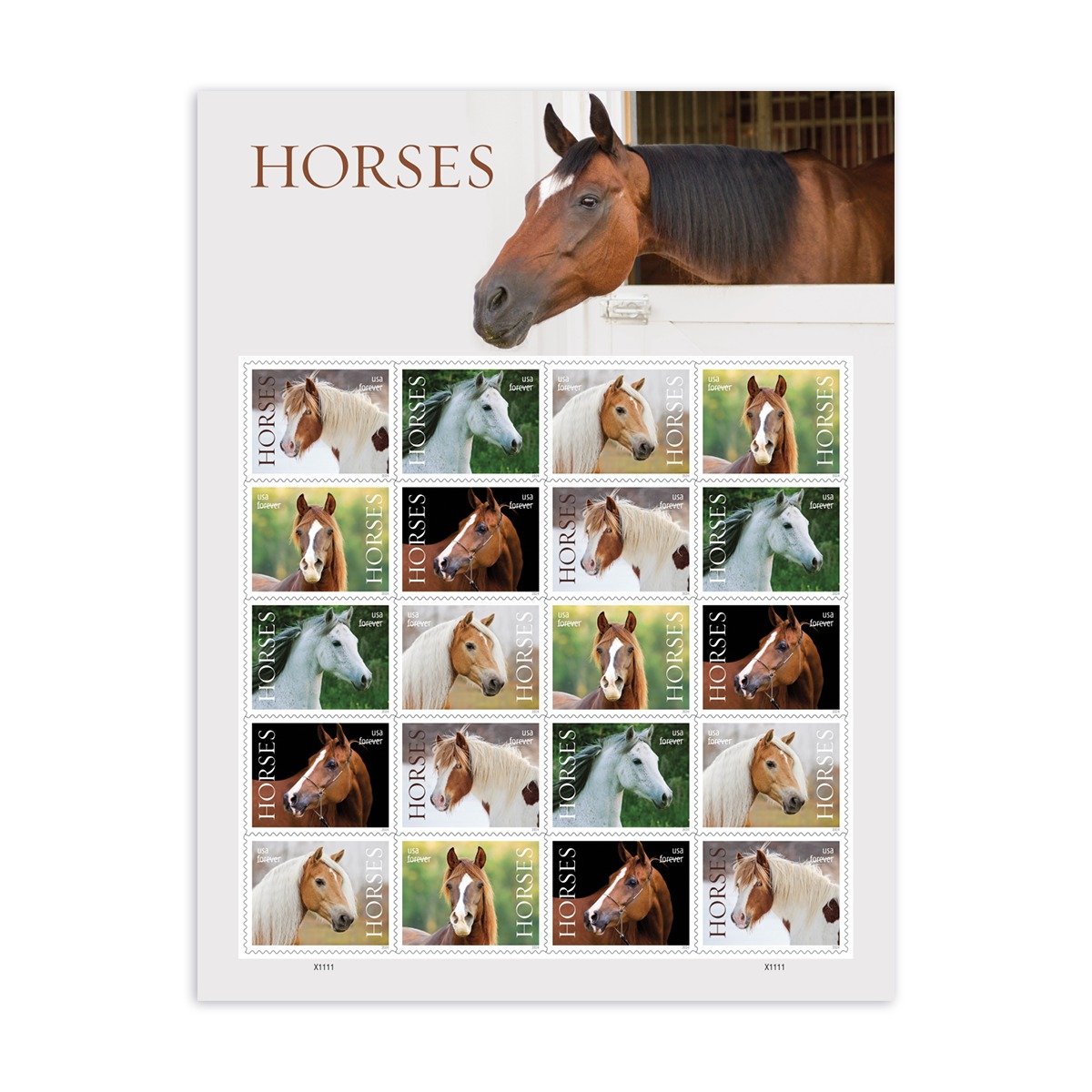 Horses - PostMarks