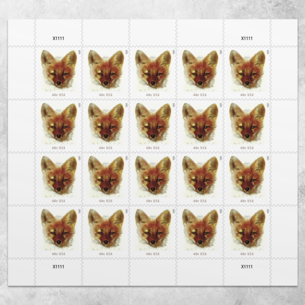 Red Fox - PostMarks