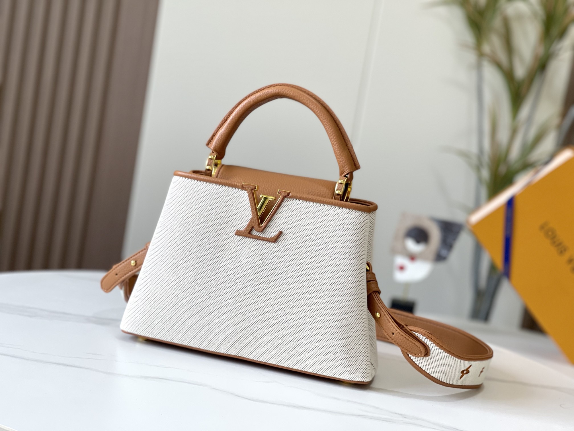 Louis Vuitton LV  Canvas and Leather Capucines - KAIROO