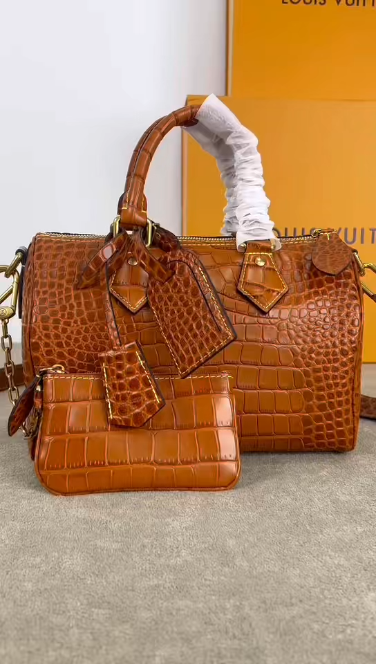 Louis Vuitton LV  Speedy P9 Bandoulière 25（15A Master Version） - KAIROO