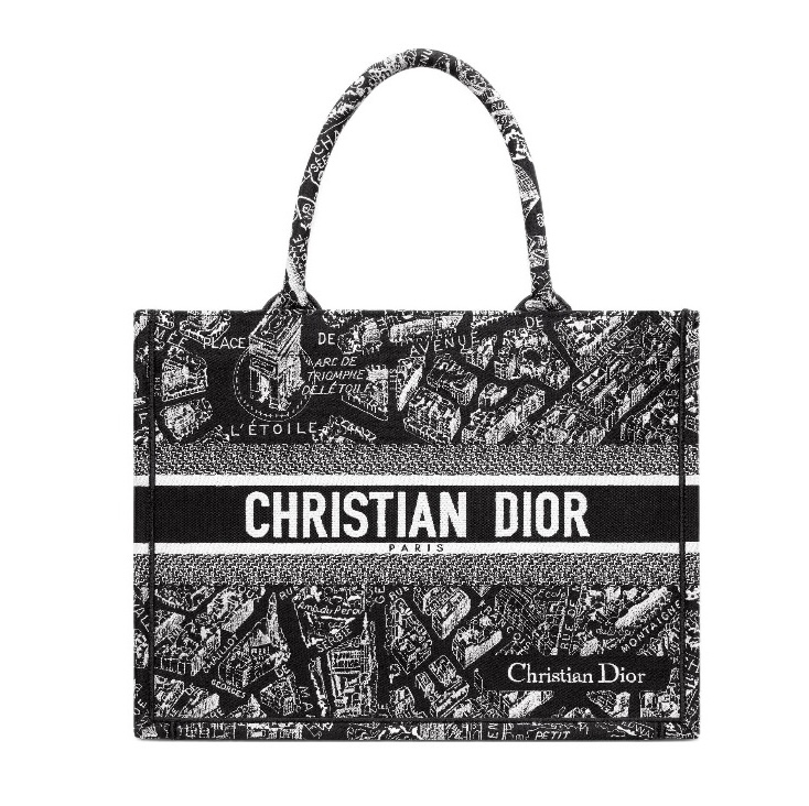 Dior Paris Map Tote / City Architecture Embroidered Bag - KAIROO