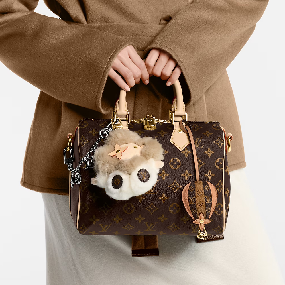 Louis Vuitton LV  Speedy Bandoulière 25 - KAIROO