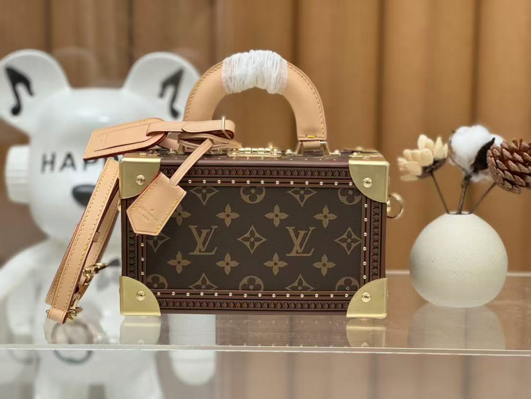 Louis Vuitton LV  Trunk Collection Handbag - KAIROO