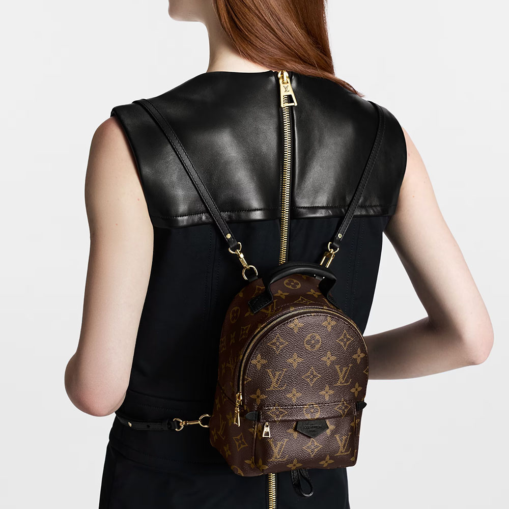 Louis Vuitton LV  Monogram Backpack  Mini&Small&Medium - KAIROO