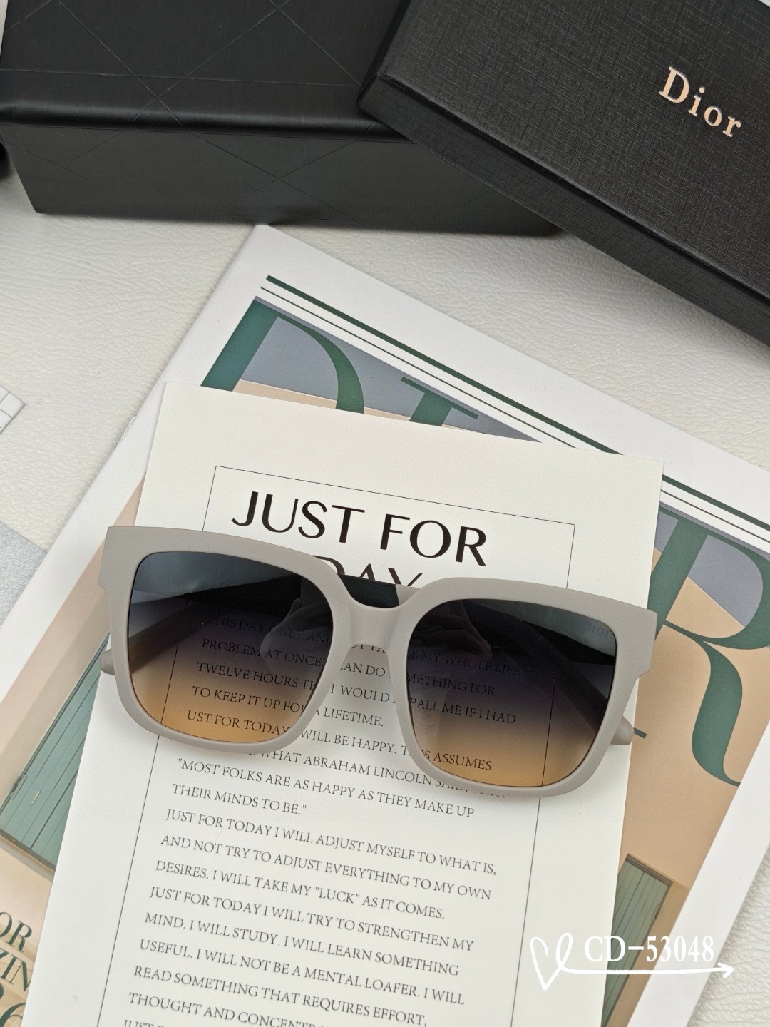 Dior Oversized Silhouette Square Polarized Resin Sunglasses - KAIROO