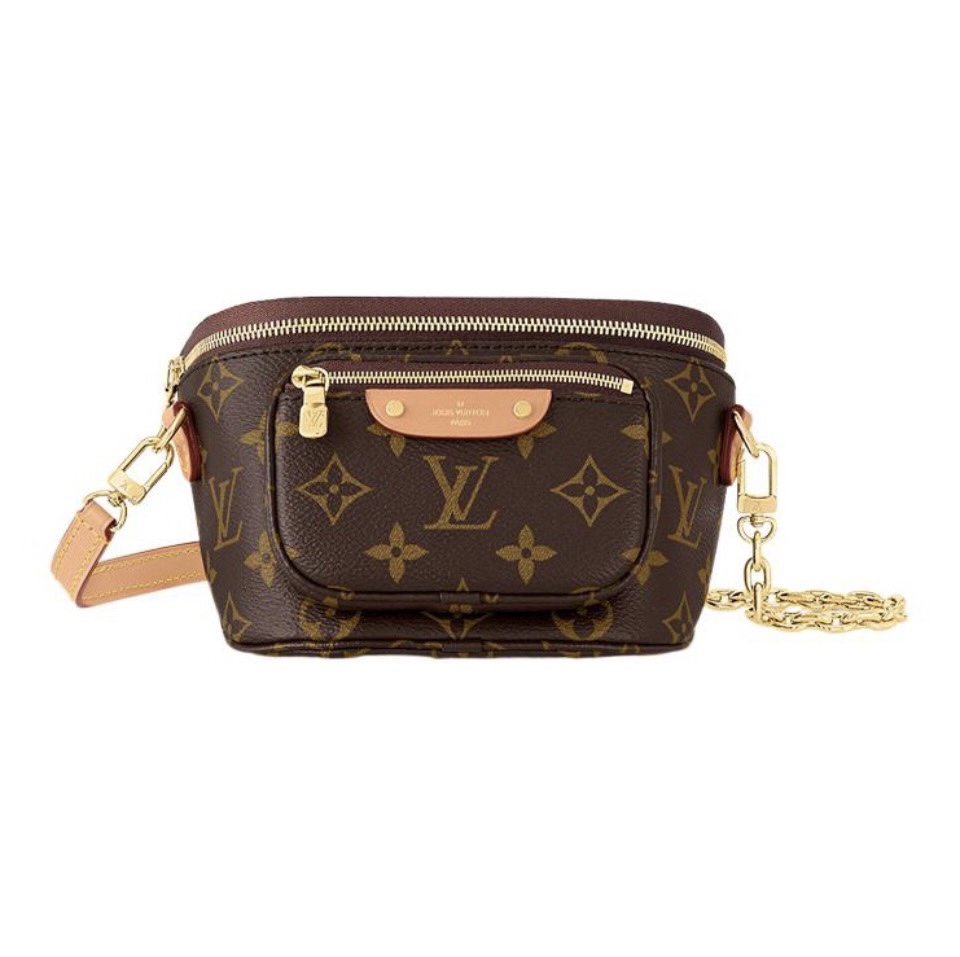 Louis Vuitton LV  Mini Camera Bag（Monogram） - KAIROO