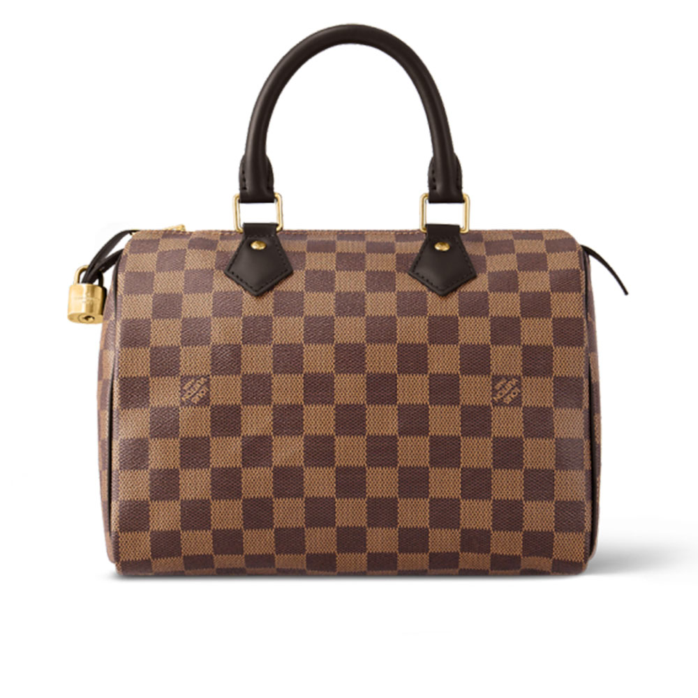Louis Vuitton LV  Speedy 25 Handbag (Damier Ebene) - KAIROO