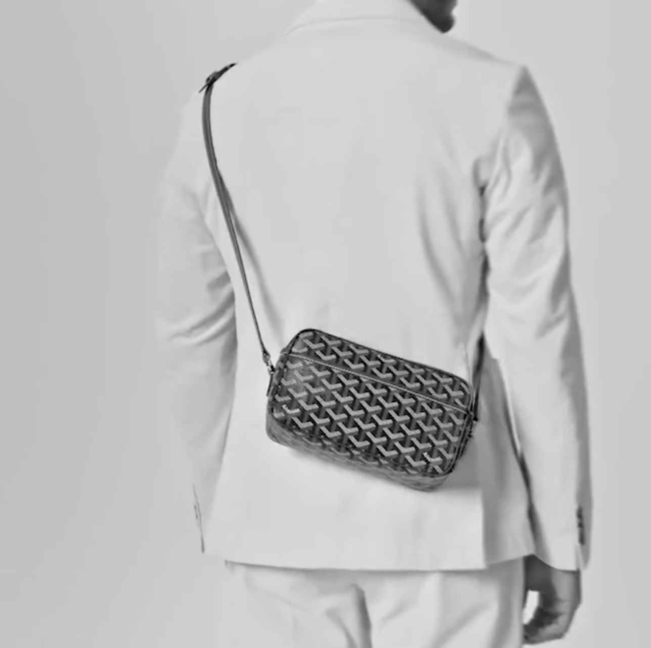 Goyard Cap Vert PM Bag - KAIROO