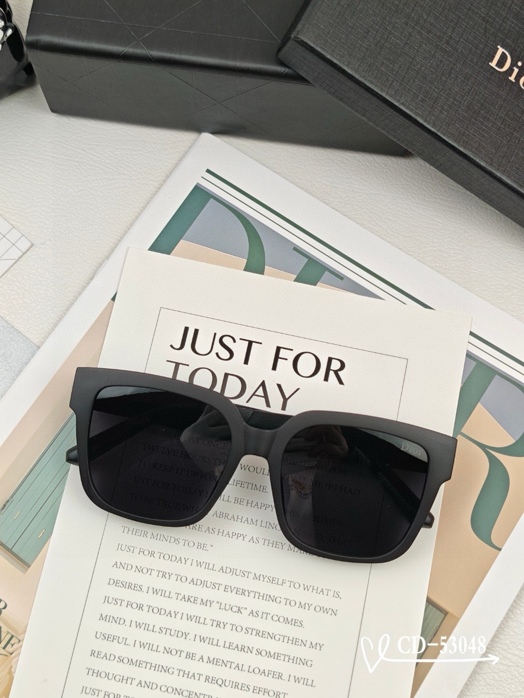 Dior Polarized Lenses Square Polarized Resin Sunglasses - KAIROO