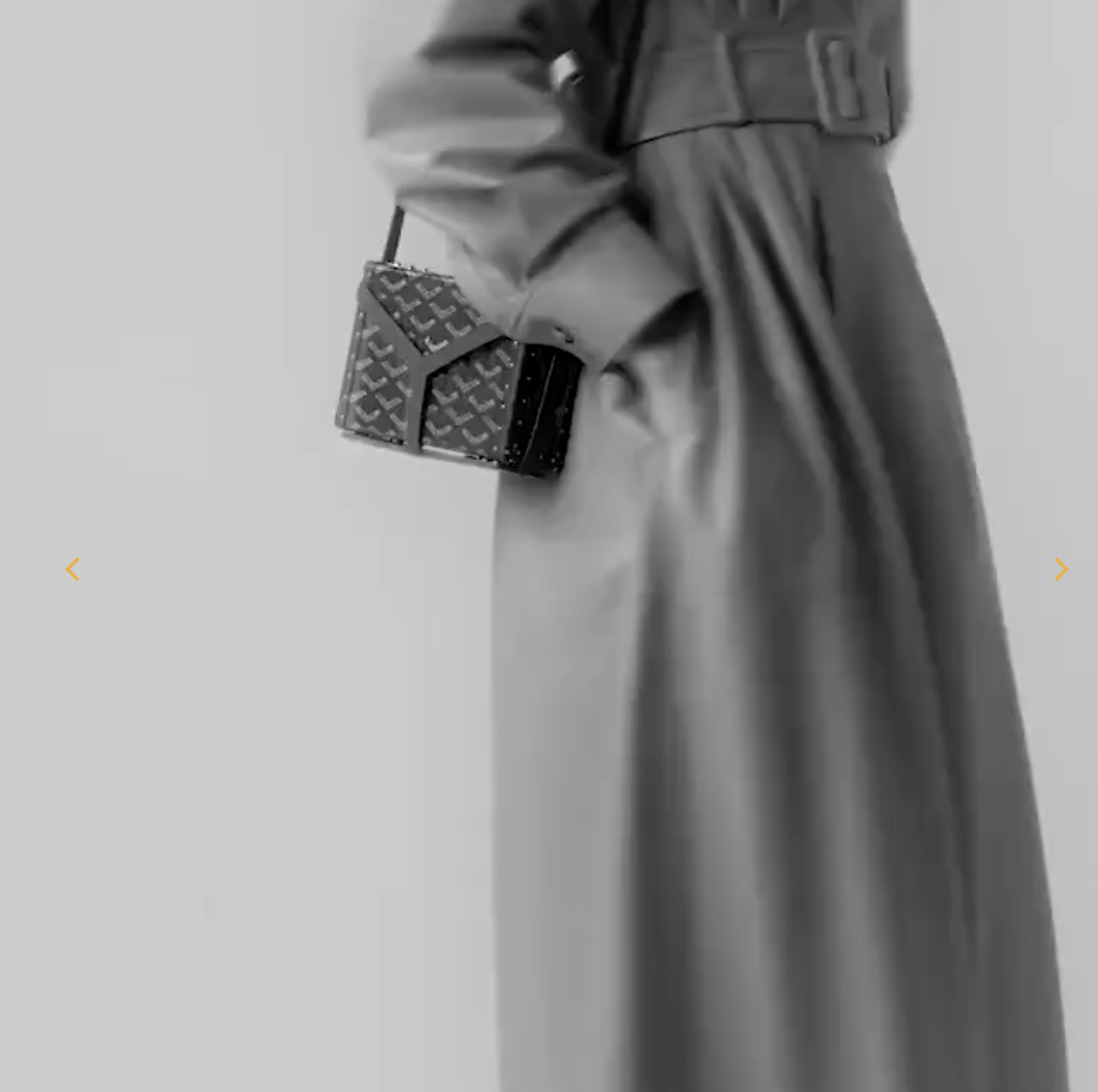 Goyard Minaudière Bag - KAIROO