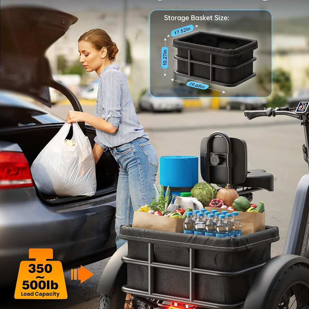 Electric Fat Trike 48V 1000W snowmobile Electric three-wheeled fat ebike 20-24inch