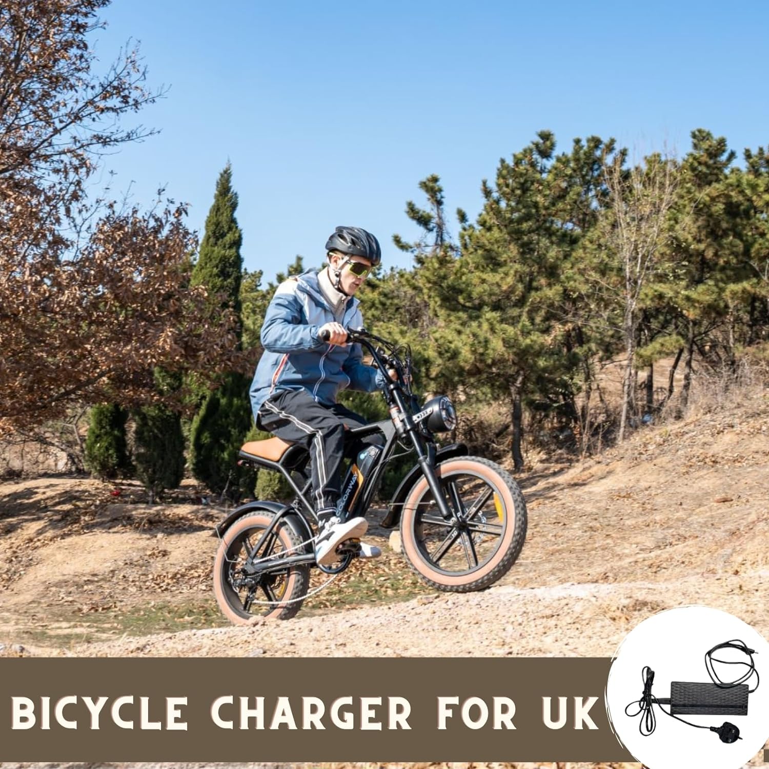 COLORWAY , e-bike with 4.0 fat tyres, 250W motor and 48V 15Ah battery, 7 speeds, with LCD display, dual disc brakes, range up to 45-100KM