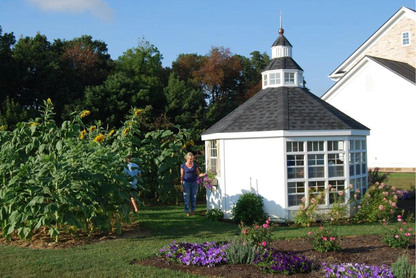 【Storage Shed】Colonial 144